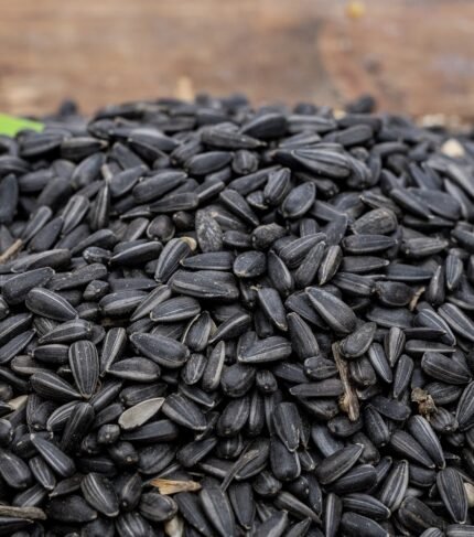 Black Sunflower Seeds with Shell – 10 kg Bag