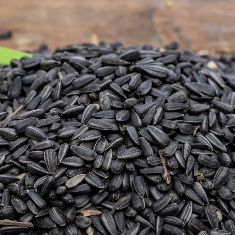 Black Sunflower Seeds with Shell – 10 kg Bag