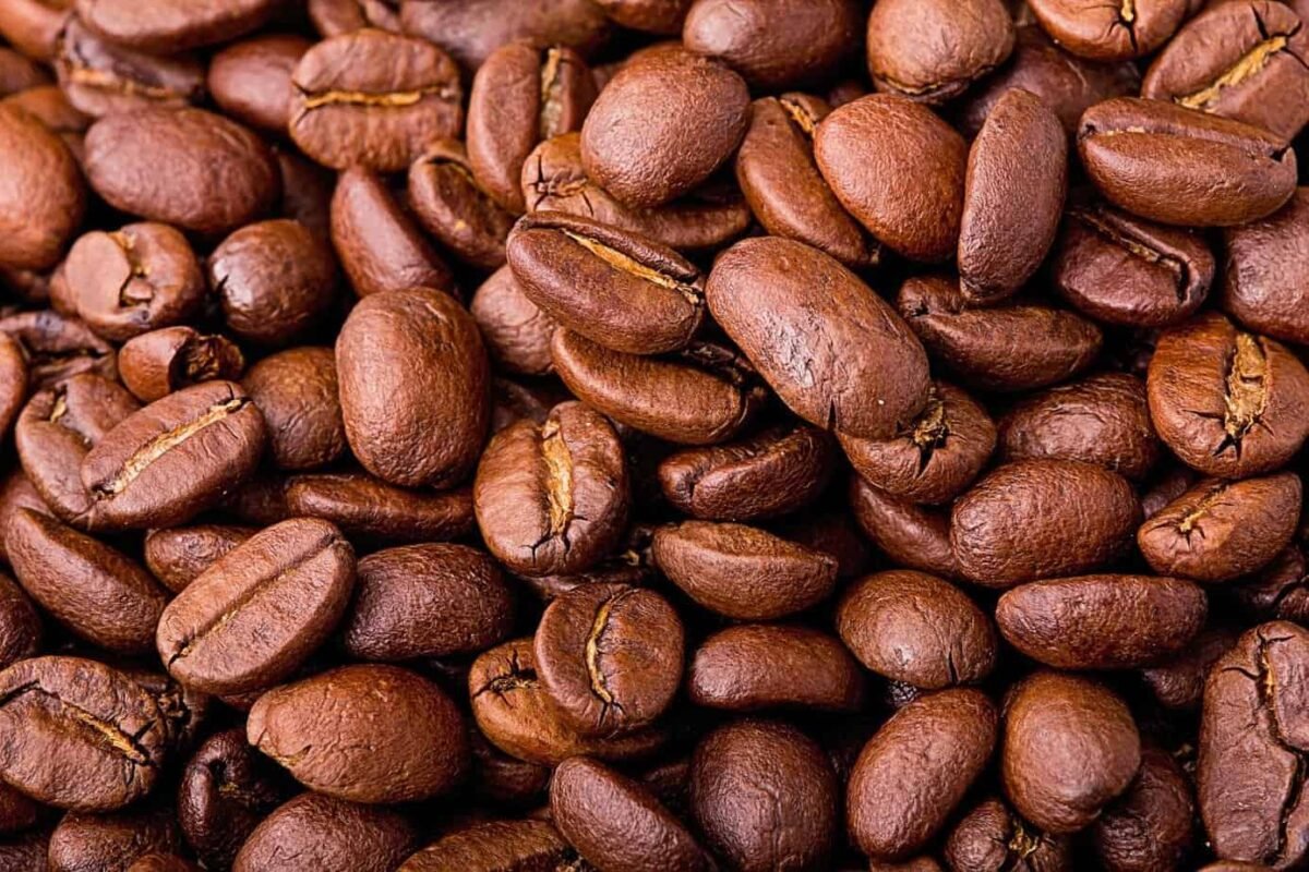 Burundi Green Beans For Sale