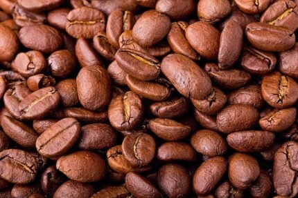 Burundi Green Beans For Sale