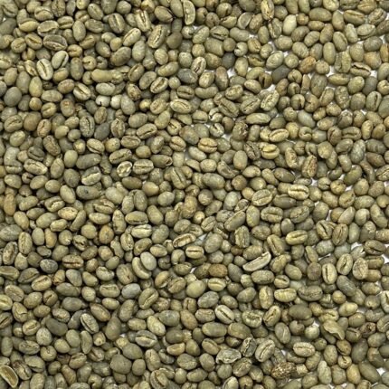 Kenya AA Green Coffee Beans For Sale