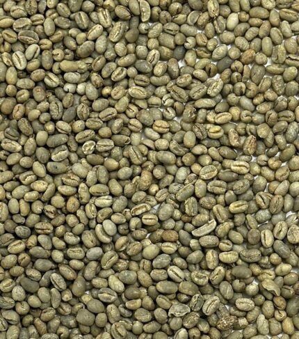 Kenya AA Green Coffee Beans For Sale