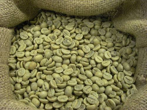 Malawi Phoka Green Coffee For Sale