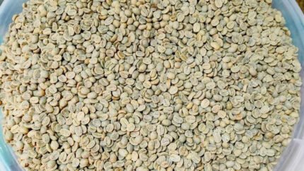 Tanzania Mbozi AA – Pro Series, Fully Washed, Raised Bed Dried