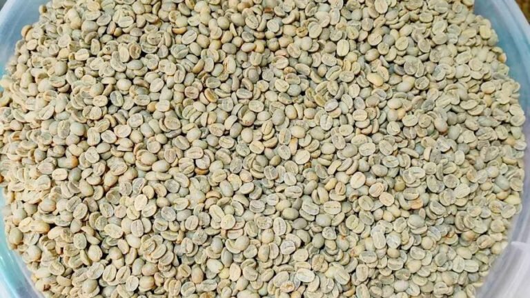 Tanzania Mbozi AA – Pro Series, Fully Washed, Raised Bed Dried