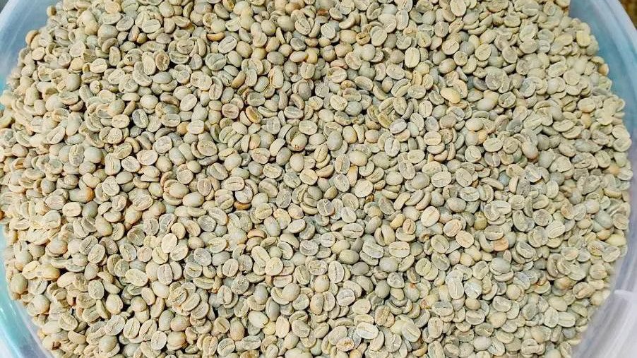 Tanzania Mbozi AA – Pro Series, Fully Washed, Raised Bed Dried