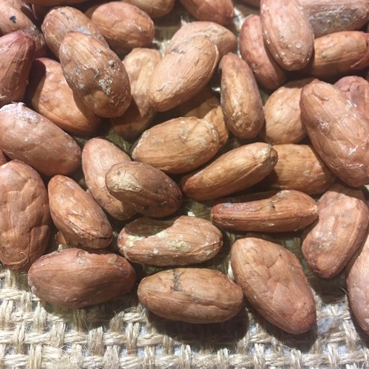 Raw Cacao Beans for Sale Raw Cacao Beans for Sale