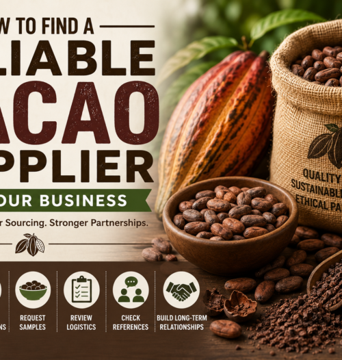 How to Find a Reliable Cacao Supplier